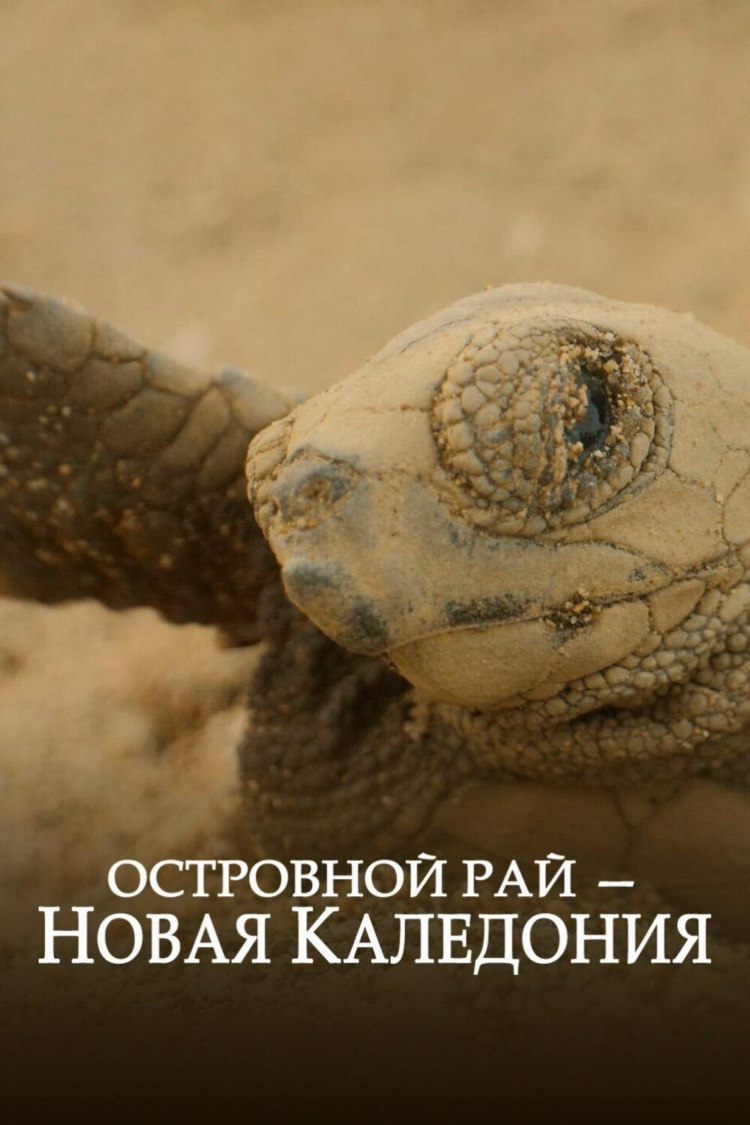 Островной рай - Новая Каледония — обложка