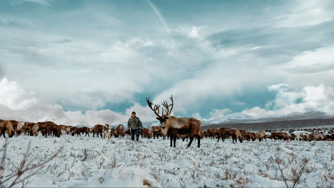Фильм Малые народы большой страны. Камчатка