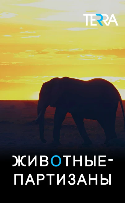 Животные - партизаны