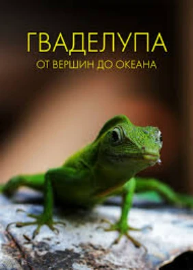 Гваделупа: от вершин до океана