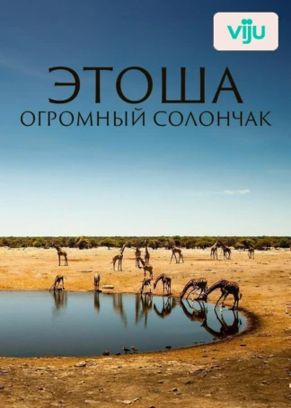 Этоша: огромный солончак