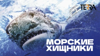 Морские хищники