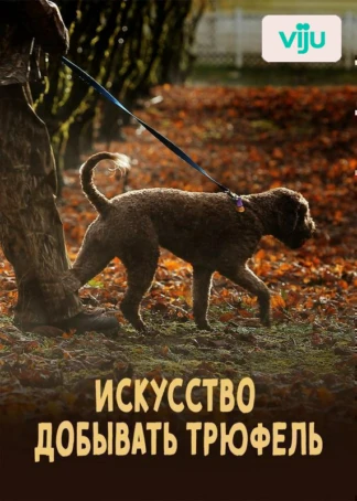 Искусство добывать трюфель