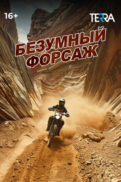 Безумный форсаж