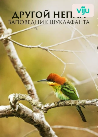 Национальный парк Суклафанта. Дикий мир Непала
