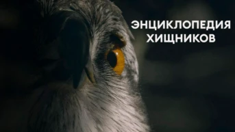 Энциклопедия хищников