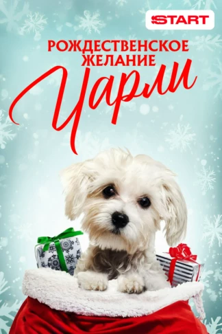 Рождественское желание Чарли