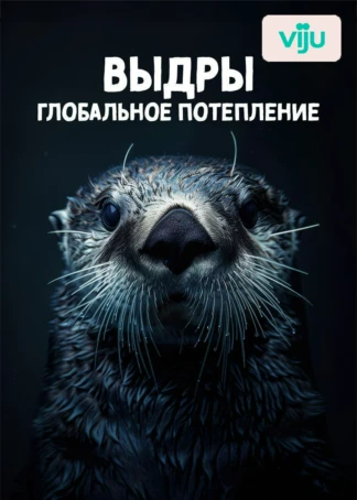 Выдры, глобальное потепление