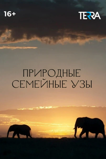 Природные семейные узы