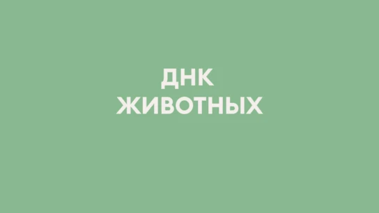 ДНК животных