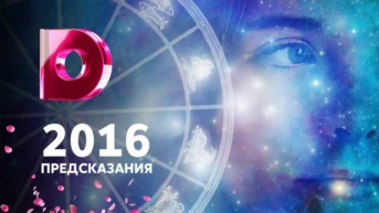 2016: Предсказания