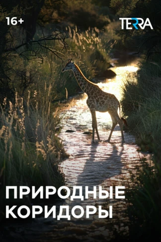 Природные коридоры