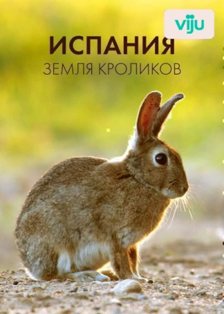 Испания. Земля кроликов