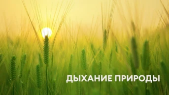 Дыхание природы