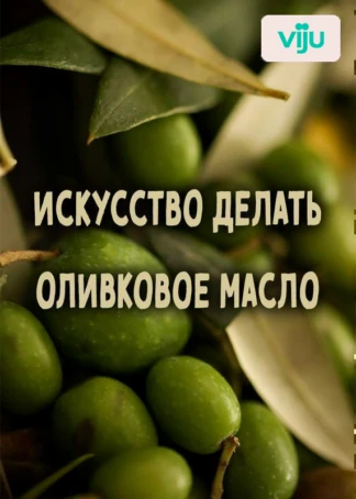 Искусство делать оливковое масло