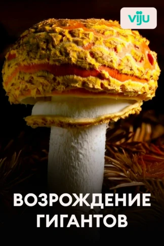 Возрождение гигантов