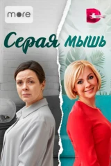 Серая мышь