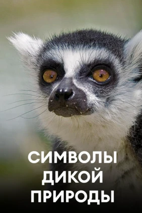 Символы дикой природы
