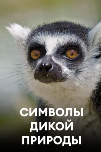 Символы дикой природы