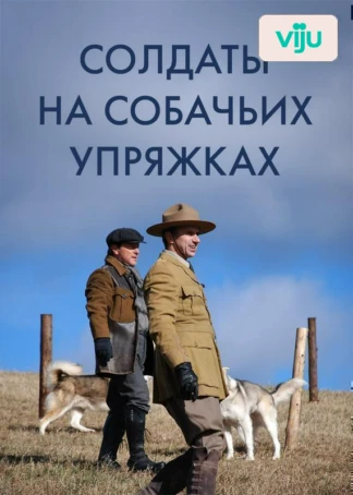 Солдаты на собачьих упряжках