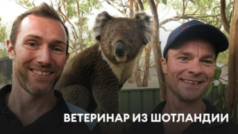 Ветеринар из Шотландии