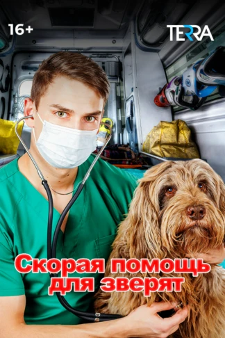 Скорая помощь для зверят