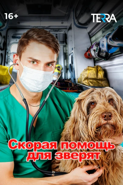 Скорая помощь для зверят