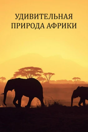 Удивительная природа Африки