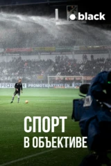 Спорт в объективе