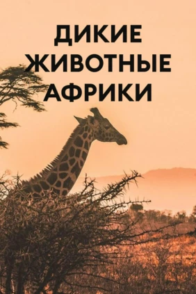 Дикие животные Африки
