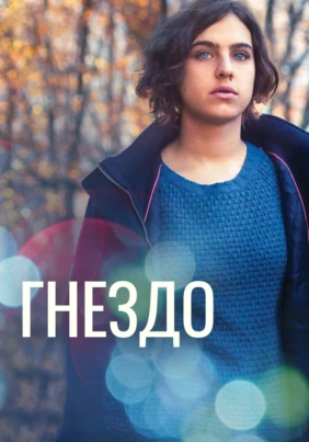 Гнездо