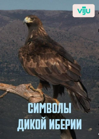 Символы дикой Иберии