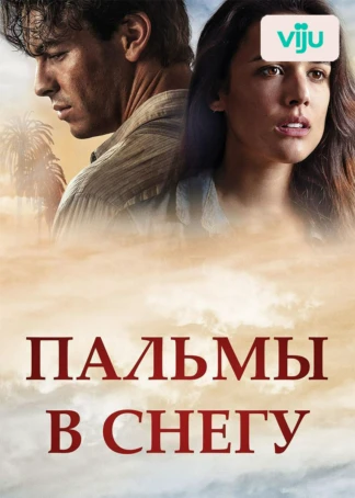 Пальмы в снегу