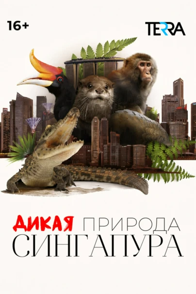 Дикая природа Сингапура
