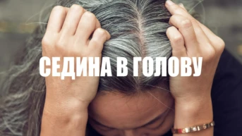 Седина в голову