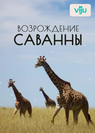 Возрождение Саванны