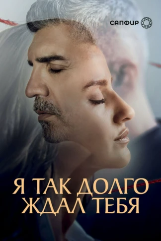 Я так долго ждал тебя