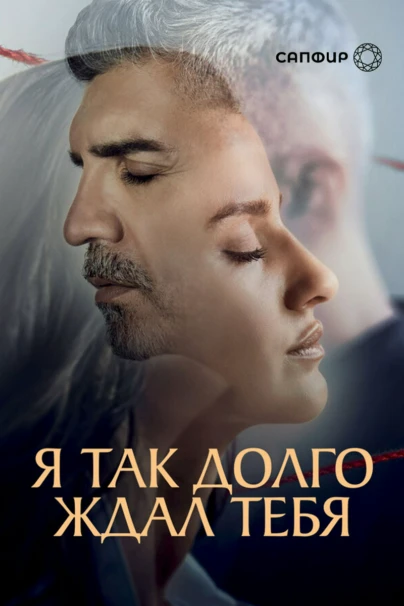 Я так долго ждал тебя
