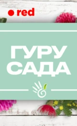Гуру сада