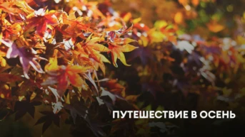 Путешествие в осень