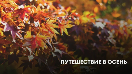 Путешествие в осень