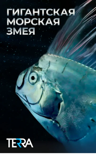 Гигантская морская змея