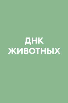 ДНК животных