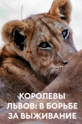 Королевы львов: в борьбе за выживание