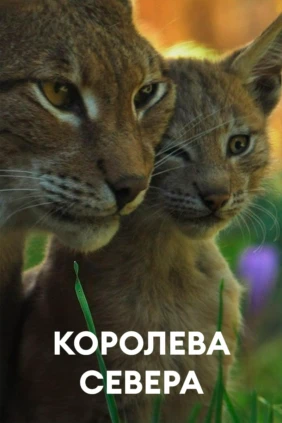 Королева севера