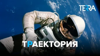 Траектория