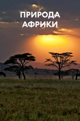 Природа Африки