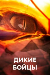 Дикие бойцы