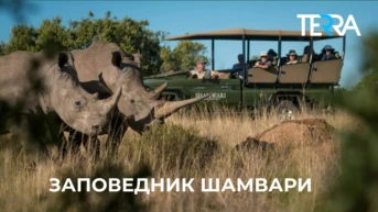 Заповедник Шамвари