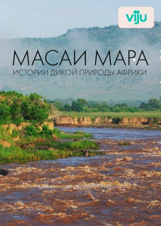 Масаи Мара. Истории дикой природы Африки